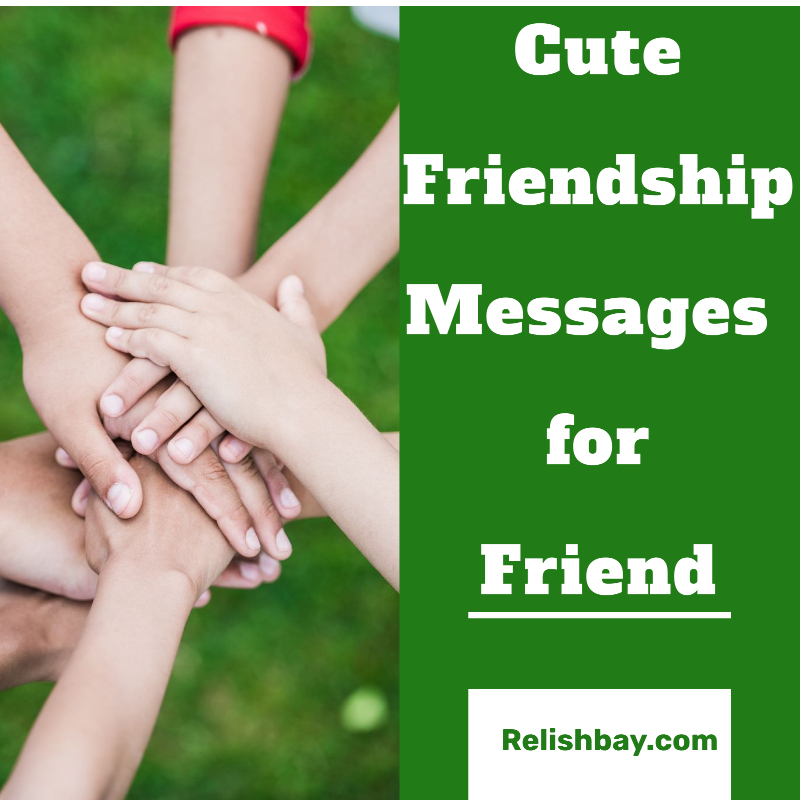 Cute Friendship Messages for Friend