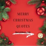 Merry Christmas Quotes