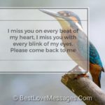 I Miss You Love Messages