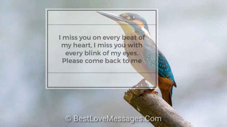 I Miss You Love Messages