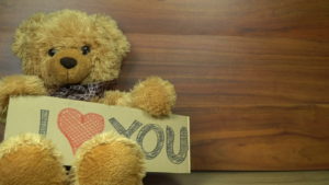 Teddy Bear with a Message