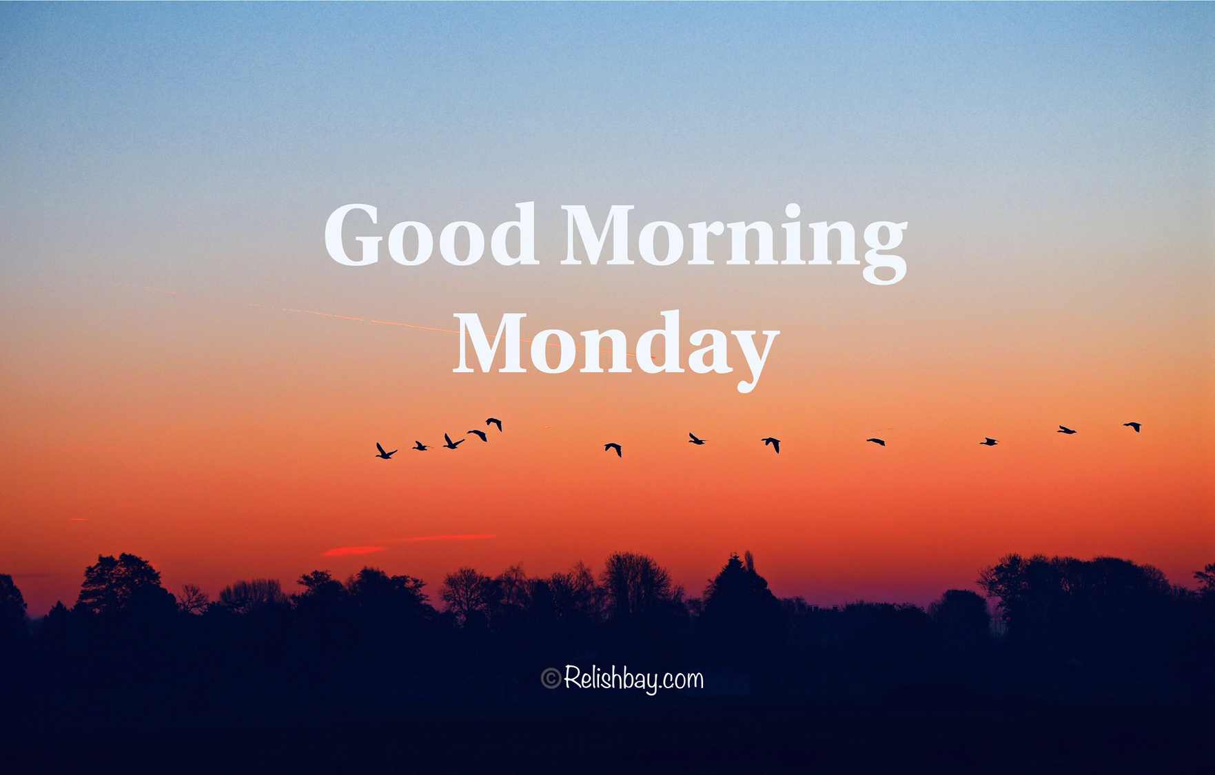 Good Morning Monday Messages 2024 - Ejerely