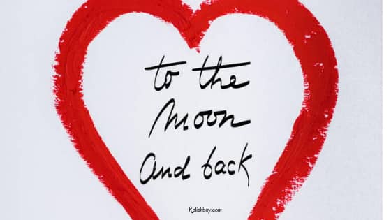 Cute Moon Of My Life Quotes