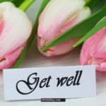 Get Well Soon Messages And Quotes