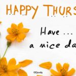 Happy Thursday Quotes and Images